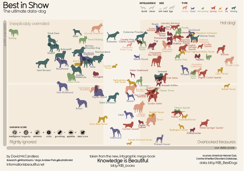 Illustration for article titled Dog breeds ranked: Who is the best, smartest doggie?